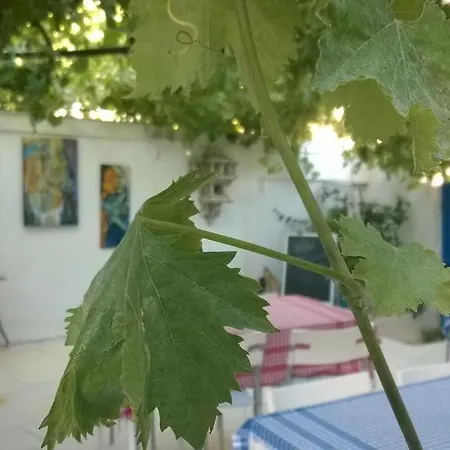 Mavi Beyaz Habitación en casa particular